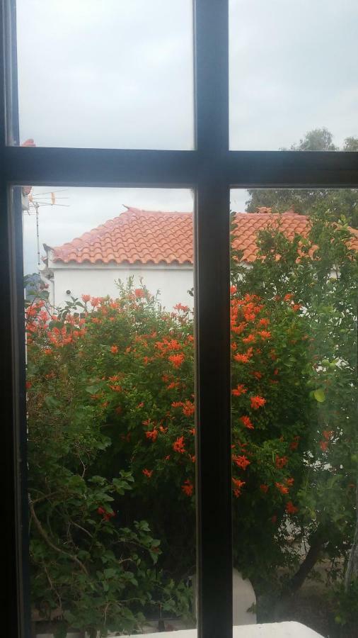 Window To The Aegean Villa Velanidia Eksteriør billede